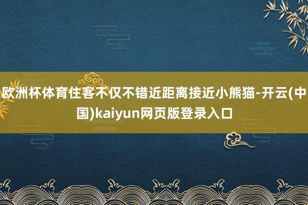 欧洲杯体育住客不仅不错近距离接近小熊猫-开云(中国)kaiyun网页版登录入口